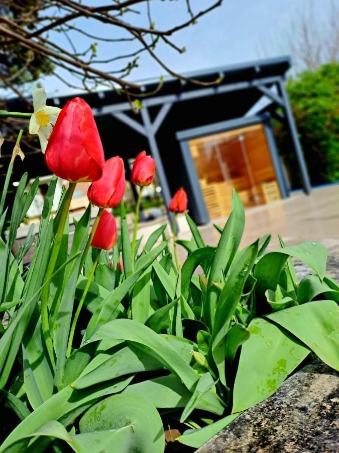 Fuege Villa Luxury & Wellness Balatonfured Exterior photo